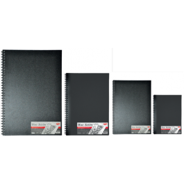Bloc schite 100g/mp 80 file
