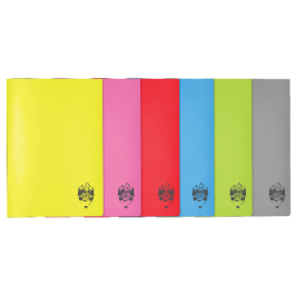 Caiet A4 100 file coperta plastic Daco - matematica