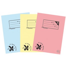 Caiet A4 80 file Pigna Basic - dictando