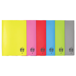 Caiet A5 100 file coperta plastic Daco