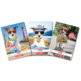 Caiet A5 48 file Herlitz - matematica