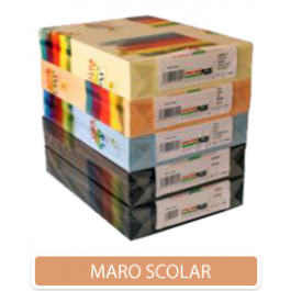 Hartie colorata A4 80g - maro scolar