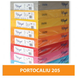 Carton colorat A4 160g Favini 205 - portocaliu