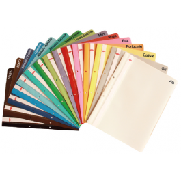 Dosar plastic cu sina A4 Daco - Gri