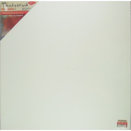 panza pictura pe sasiu daco 50x50 cm