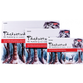 Panza pictura pe carton Daco 18x24 cm