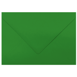 Plic colorat verde craciun C6