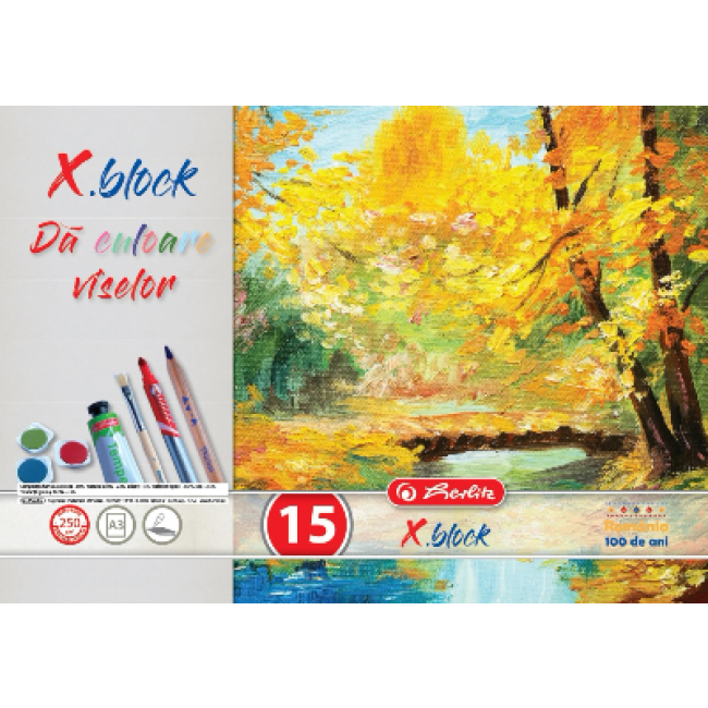 Bloc Desen Herlitz A3 15 File 250g