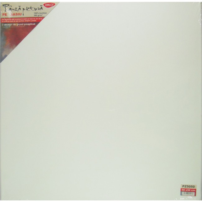 Panza Pictura Pe Sasiu Daco 50x50 Cm