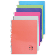 Caiet spira A4 120 file coperta carton