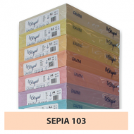 Carton colorat A4 160g Favini 103 - sepia