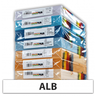 Carton A4 160g 250coli - alb