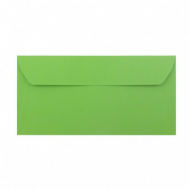 plic verde dl