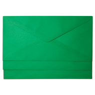 plic dl colorat verde 80g