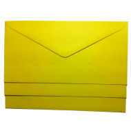 plic dl colorat galben