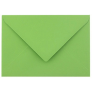 Plic colorat verde C6