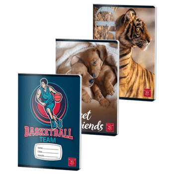 Caiet A5 80 file Pigna Clasic