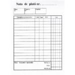 Nota de plata A6, 100 file