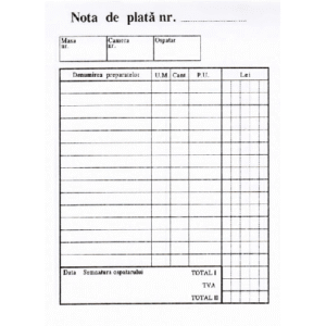 Nota de plata A6, 100 file