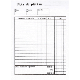 Nota de plata A6, 100 file