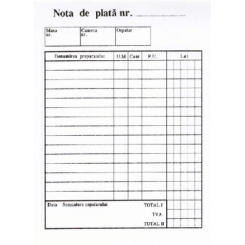 Nota de plata A6, 100 file