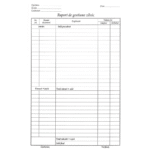 Raport de gestiune A4 100 file