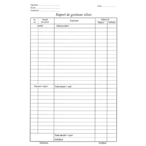 Raport de gestiune A4 100 file