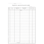 Registru de incasari si plati A4 , 100 file