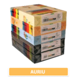 Carton colorat A4 160g - auriu