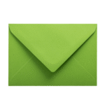 Plic verde C6 color