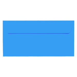 Plic albastru DL color