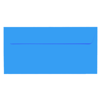 Plic albastru DL color