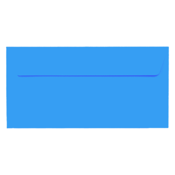 Plic albastru DL color