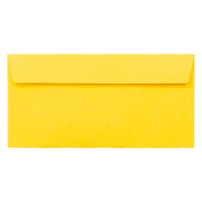 Plic galben DL color