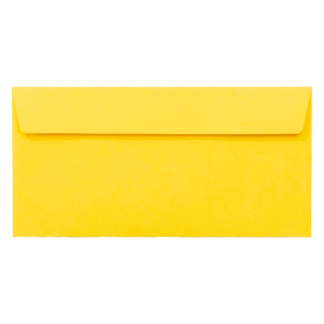 Plic galben DL color