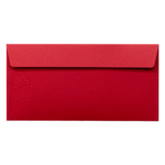 Plic visiniu Dl colorat