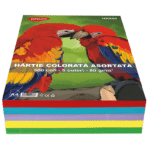 Hartie colorata asortata A4 80g 500 coli 5 culori