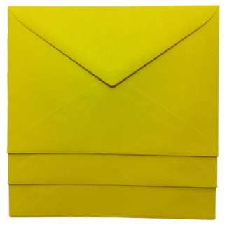 Plic galben C6 color