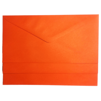Plic portocaliu DL colorat