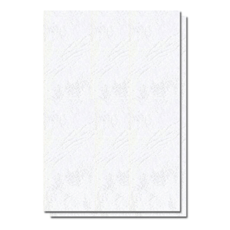 Coperta carton imitatie piele A4 - Alb