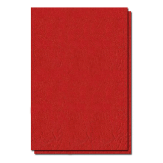 Coperta carton imitatie piele A4 - Rosu