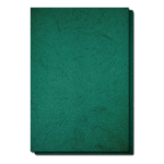 Coperta carton imitatie piele A4 - Verde