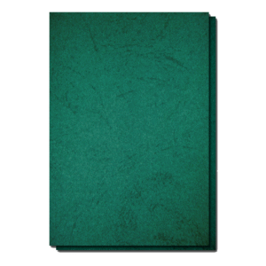 Coperta carton imitatie piele A4 - Verde
