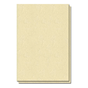 Coperta carton imitatie piele A4 – Crem