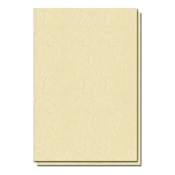 Coperta carton imitatie piele A4 – Crem