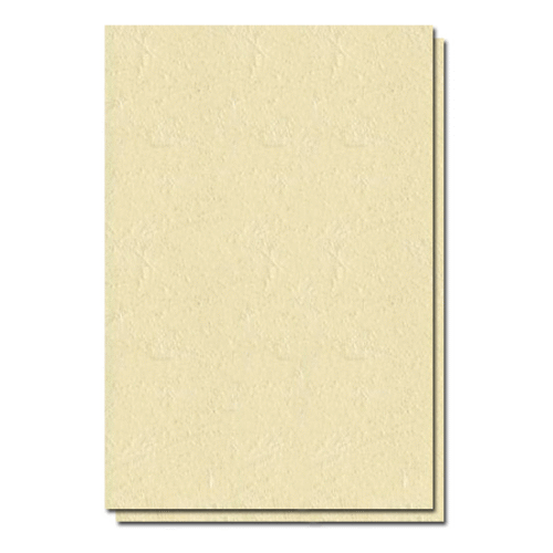 Coperta carton imitatie piele A4 – Crem