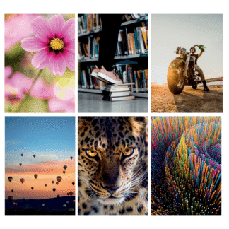 Caiet A4 60 file Ecada