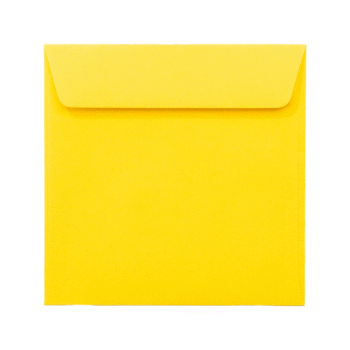 Plic galben patrat 14x14