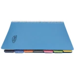 Caiet spira coperta plastic A4 240 file 8 subiecte Daco 2