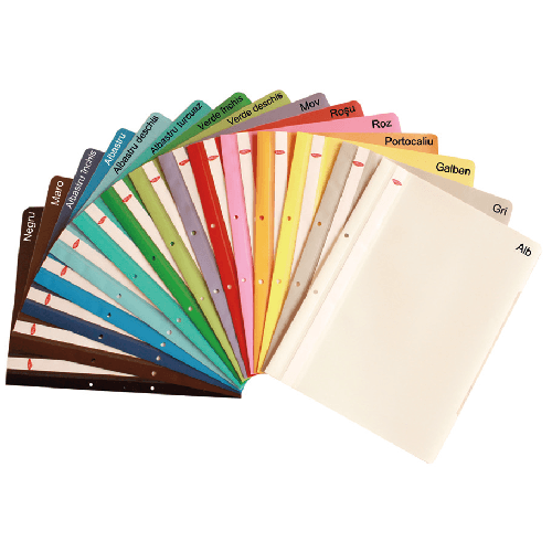 Dosar plastic cu sina A4 Daco Dosar plastic cu sina A4 Daco